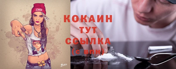 прущий лед Нея