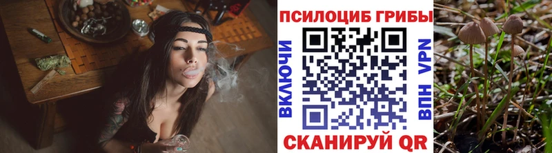 Купить  Мензелинск  Псилоцибиновые грибы GOLDEN TEACHER 