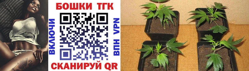 Купить  Мензелинск  Каннабис Amnesia 